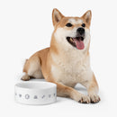 CF Icon Dog Bowl - Storm