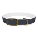 CF Pet Collar