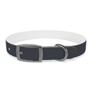 CF Pet Collar