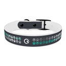CF Pet Collar