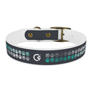 CF Pet Collar